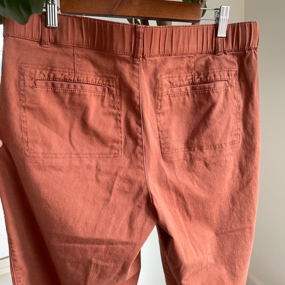 Terracotta Wide Leg Pants - Picture 4 of 4